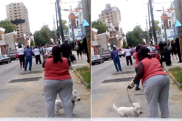 Khoanh khac danh sap mot toa nha o Philadelphia hinh anh