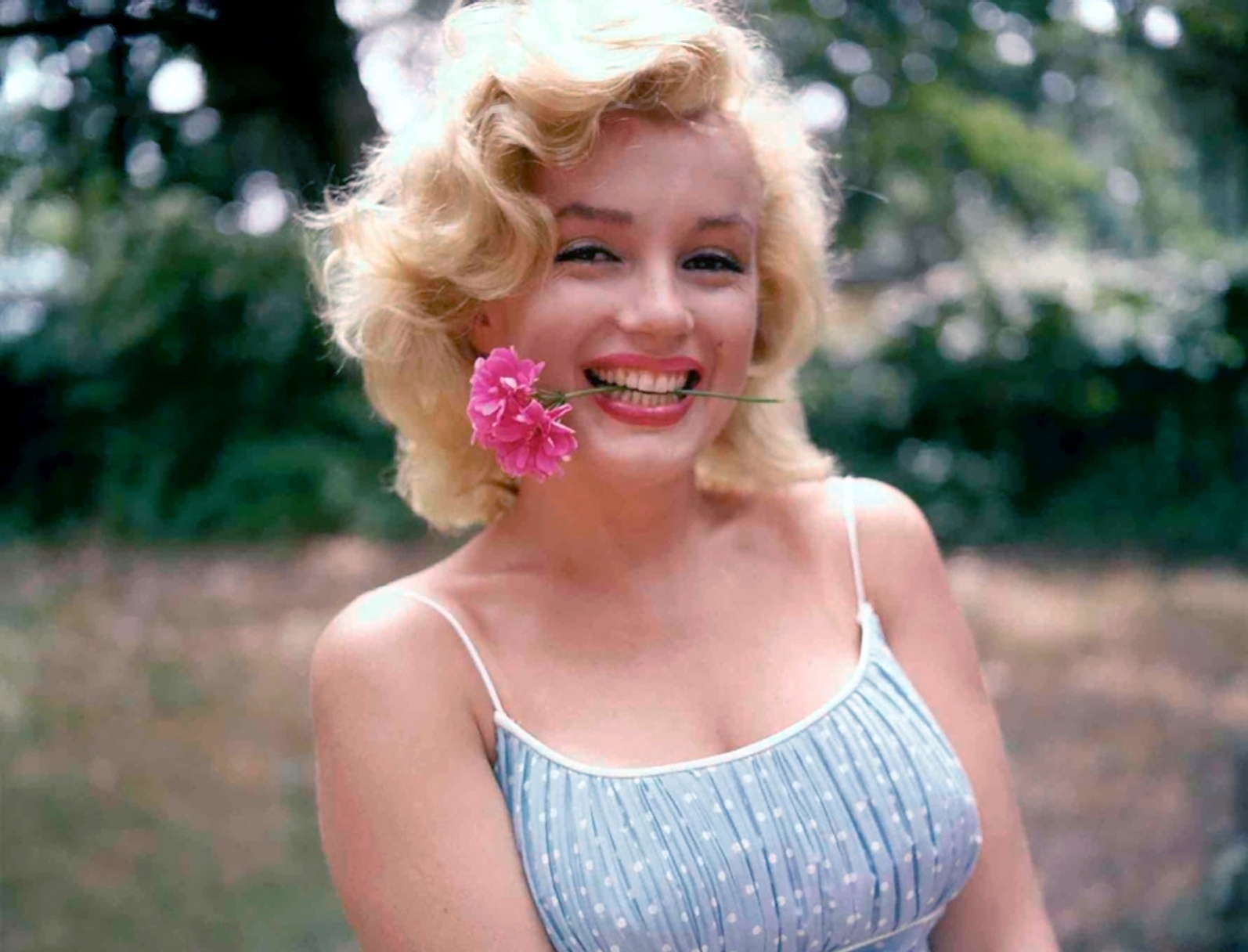 Bi mat chuyen tinh cua tong thong va kieu nu Marilyn Monroe hinh anh
