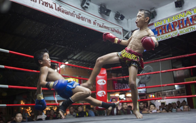 Tre em Thai vat va muu sinh bang nghe dam boc hinh anh