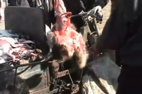 Lot da thu o Trung Quoc hinh anh