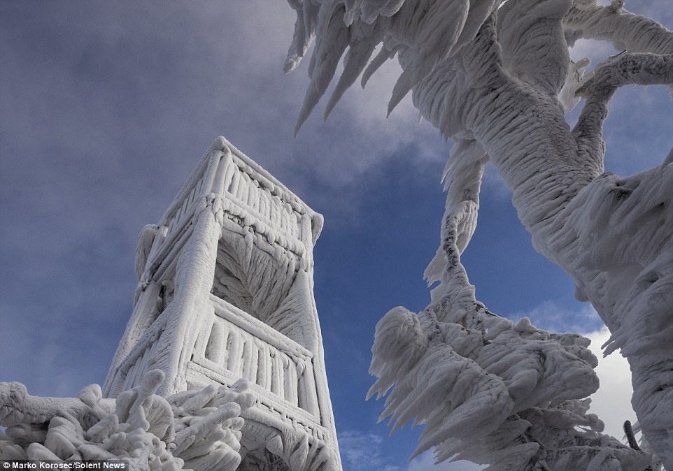 Canh bang gia nhu trong phim Hollywood ngoai doi thuc hinh anh