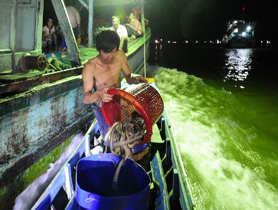 Bat ran bien bang tay khong o Viet Nam len tap chi My hinh anh