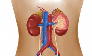 Be so sinh hien tang de cuu song hai mang nguoi hinh anh