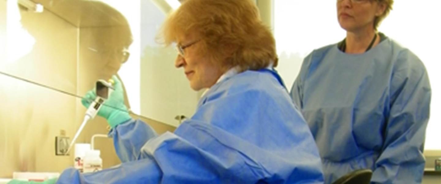 My phat hien virus sat thu moi hinh anh