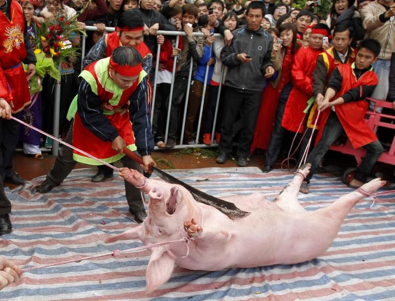 Tranh luan ve tuc chem lon o Viet Nam len bao nuoc ngoai hinh anh