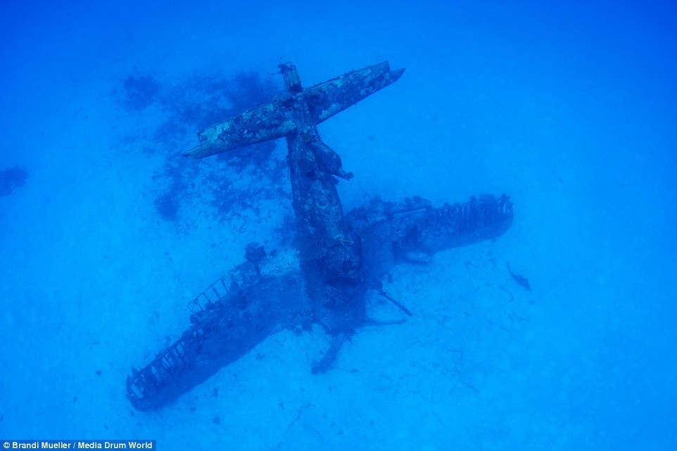 Nghia dia may bay duoi day Thai Binh Duong hinh anh