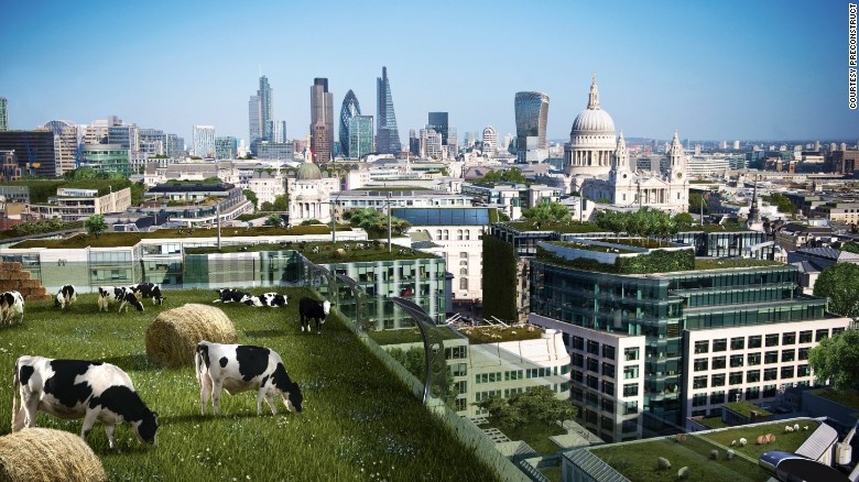 Con nguoi se nuoi bo tren noc cao oc trong 100 nam toi? hinh anh