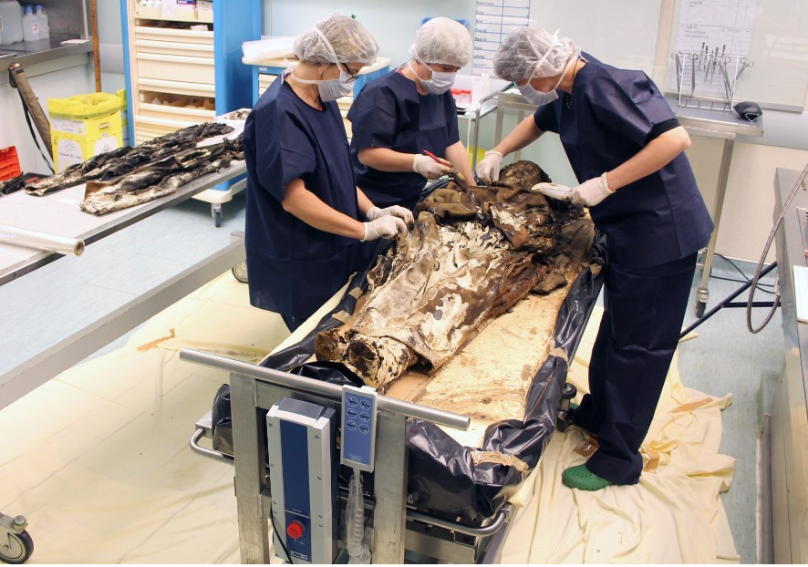 Mo nap quan tai chua xac uop 350 nam tuoi hinh anh