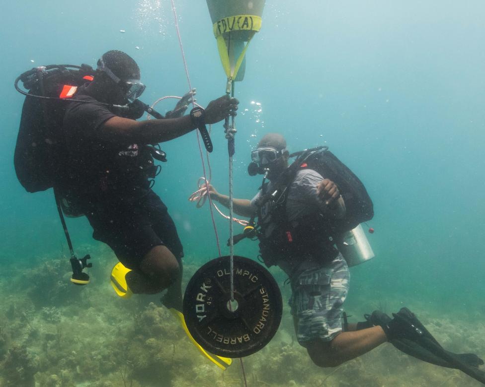 Nguoi nhai hai quan luyen ky nang lam viec o day bien hinh anh