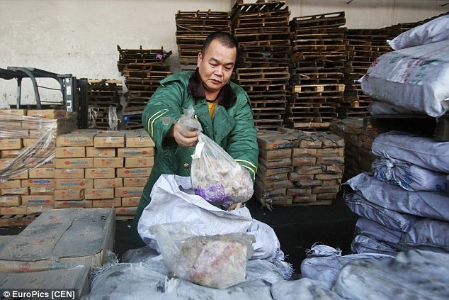 Can canh so thit dong lanh 40 nam o Trung Quoc hinh anh