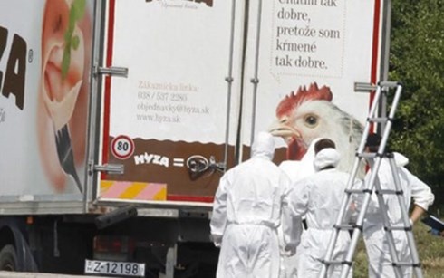 Tham kich nguoi ti nan 'dot nong' chau Au hinh anh