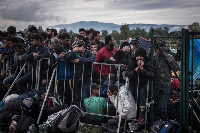 My se tiep nhan 185.000 nguoi ti nan trong 2 nam toi hinh anh