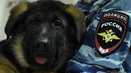 Nga tang Phap cho nghiep vu de chong khung bo hinh anh