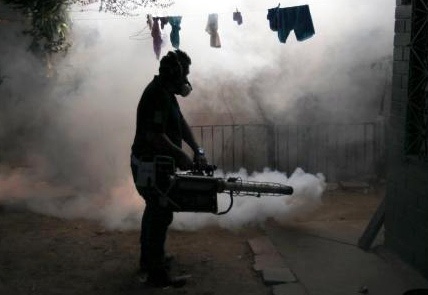 Virus gay teo nao bao thai co nguy co lay lan khap chau My hinh anh