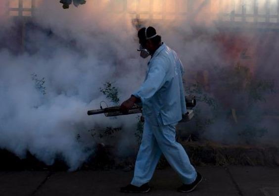 Chau My hoi ha chong virus Zika gay teo nao bao thai hinh anh