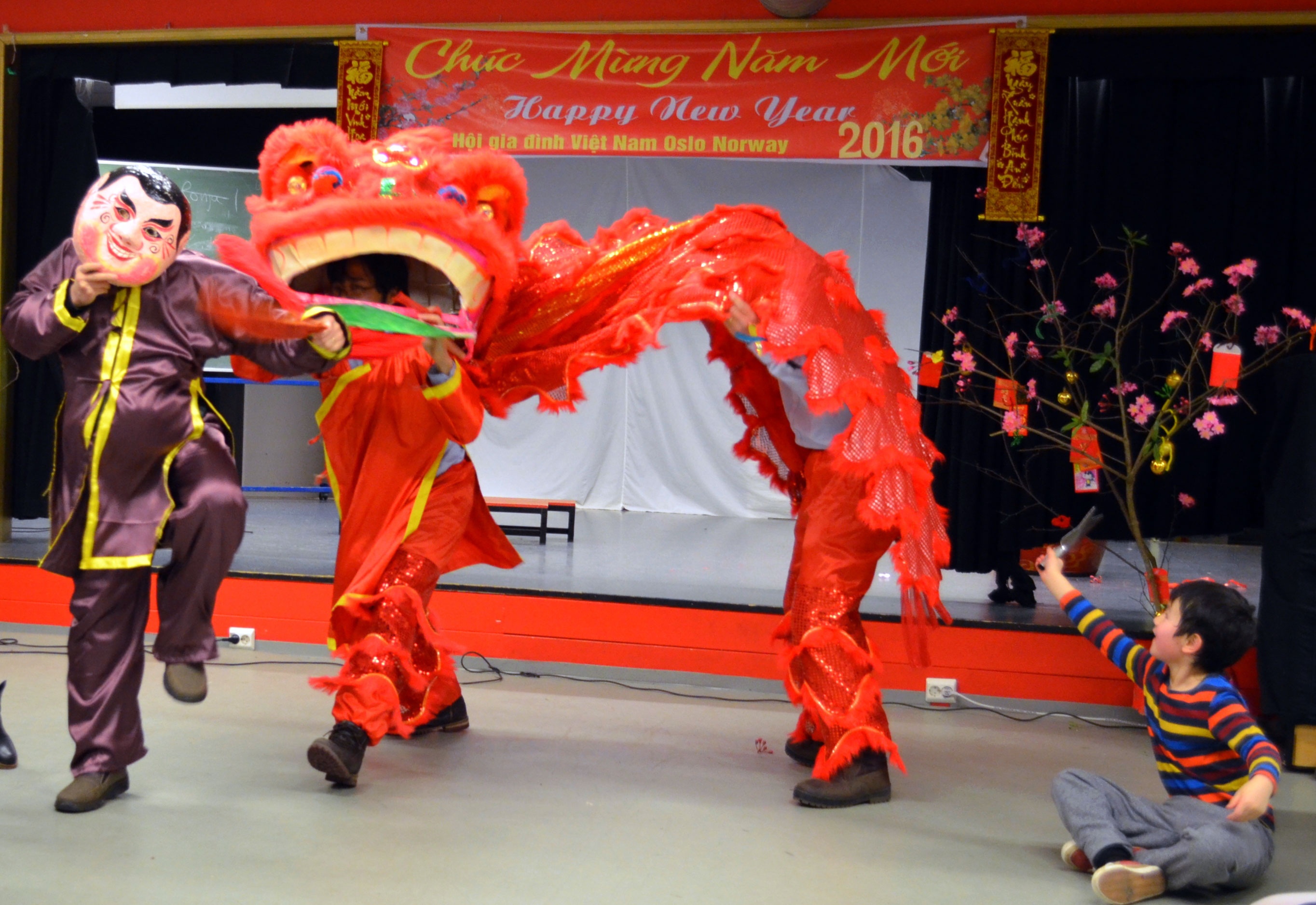 Mua lan mung nam moi giua thu do cua Na Uy hinh anh