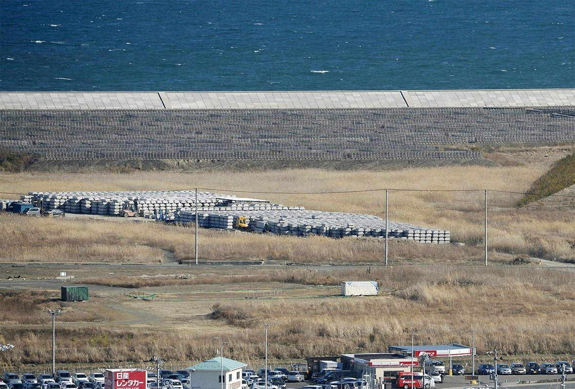 Nhat hoi sinh 5 nam sau tham hoa kep anh 12