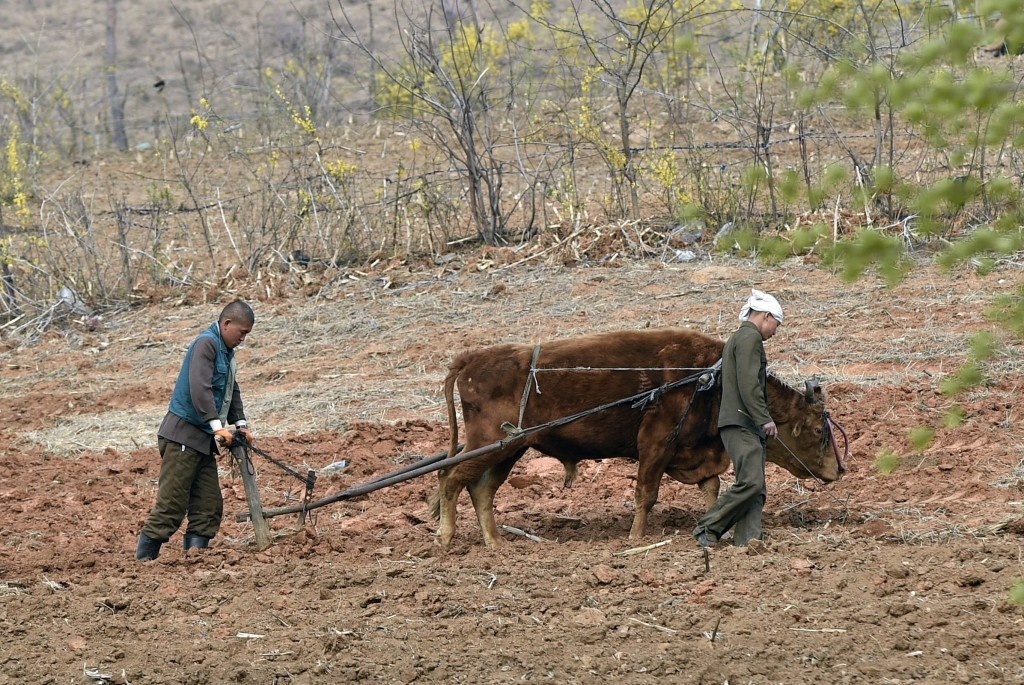 cuoc song doi thuong Trieu Tien anh 4