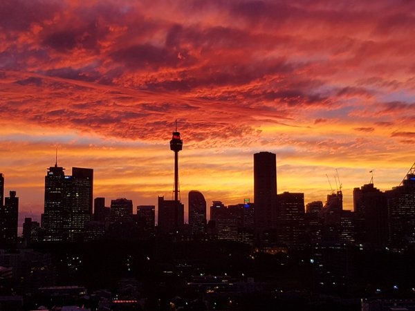 hoang hon do nhu mau tren bau troi Sydney anh 5