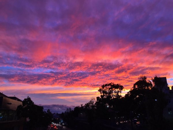 hoang hon do nhu mau tren bau troi Sydney anh 6