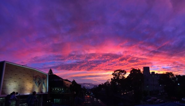 hoang hon do nhu mau tren bau troi Sydney anh 7