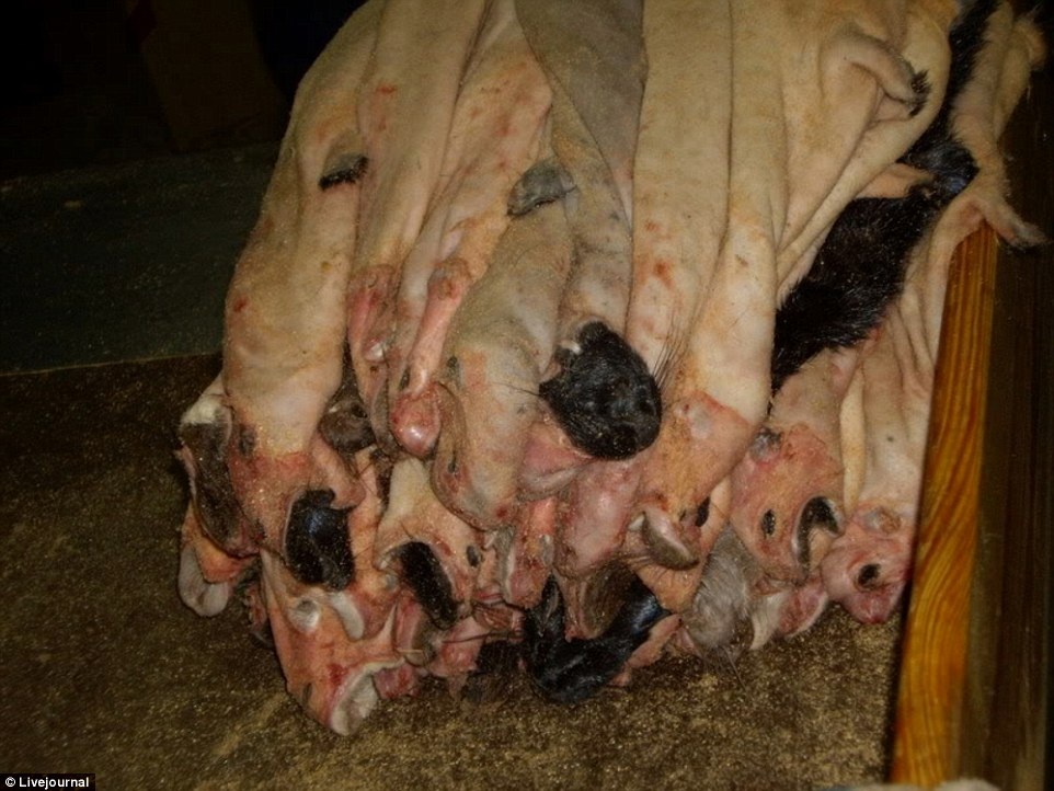 Xac dong vat chat thanh nui o xuong lot da lam ao tai Nga hinh anh