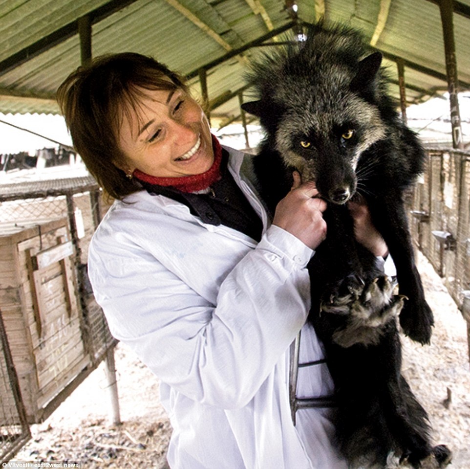 lột da động vật ảnh 3 lot da dong vat anh 3