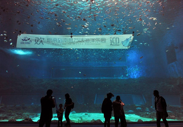 Tỷ phú giàu nhất TQ mở công viên giải trí ảnh 6 Ty phu giau nhat TQ mo cong vien giai tri anh 6