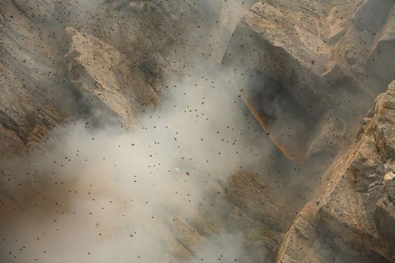 san mat ong tren vach nui dung dung anh 4