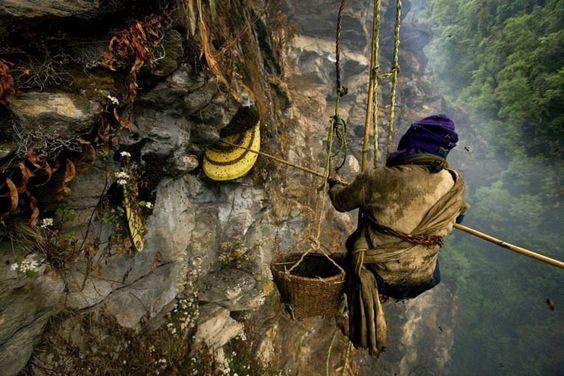 san mat ong tren vach nui dung dung anh 8