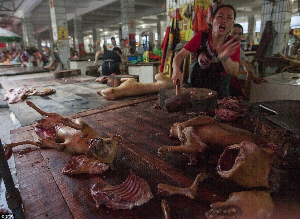 le hoi thit cho Trung Quoc anh 2