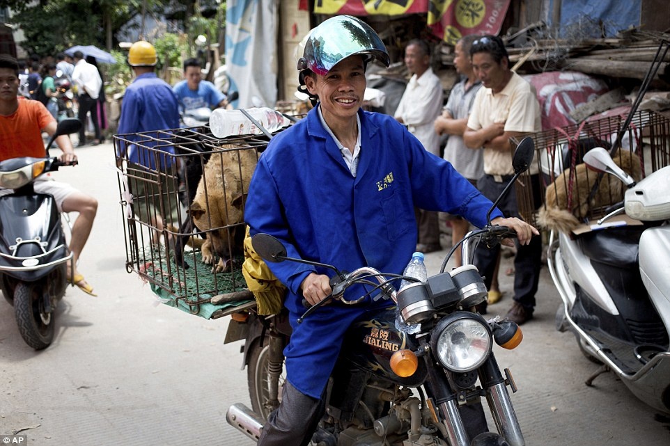 le hoi thit cho Trung Quoc anh 8