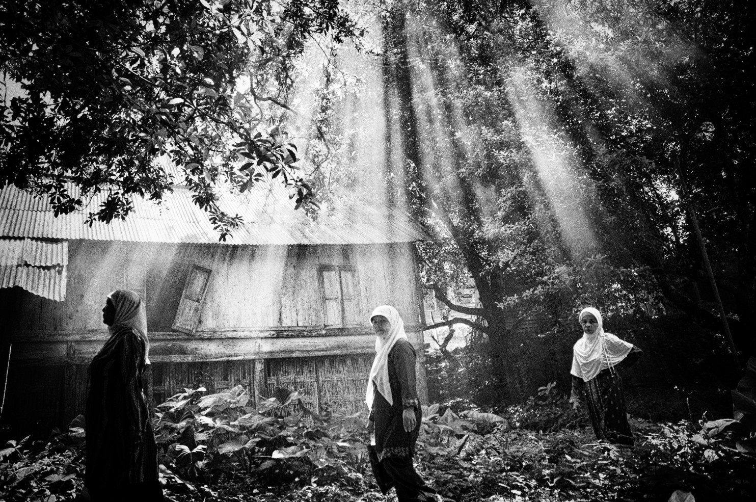 xa hoi mau he lon nhat the gioi anh 5