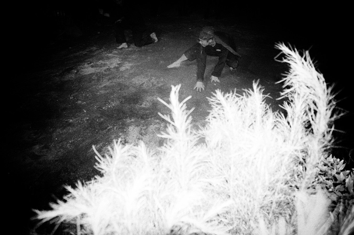 xa hoi mau he lon nhat the gioi anh 6