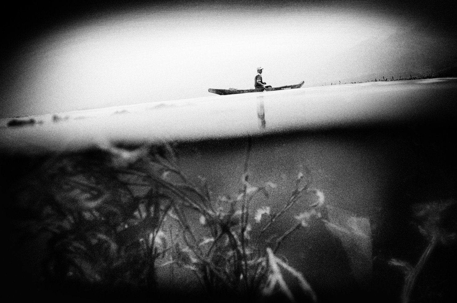 xa hoi mau he lon nhat the gioi anh 8