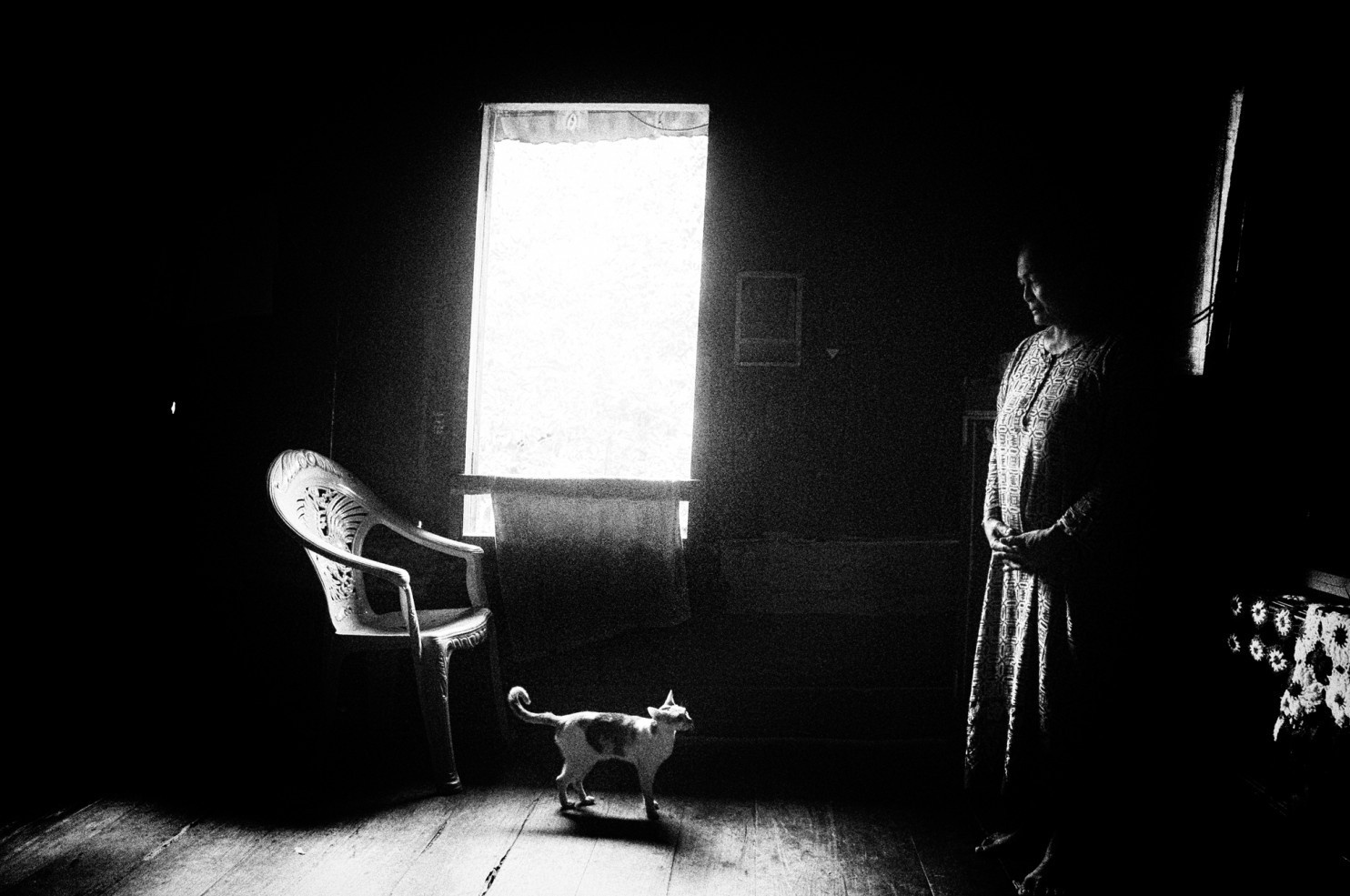 xa hoi mau he lon nhat the gioi anh 9