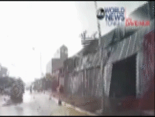 Voi rong kinh hoang o Viet Nam len truyen hinh My hinh anh