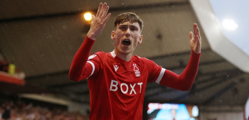 10 thuong vu co gia anh 8