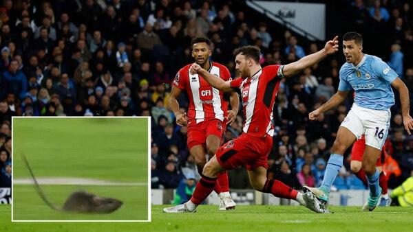 Hinh anh gay sot tai san Etihad hinh anh