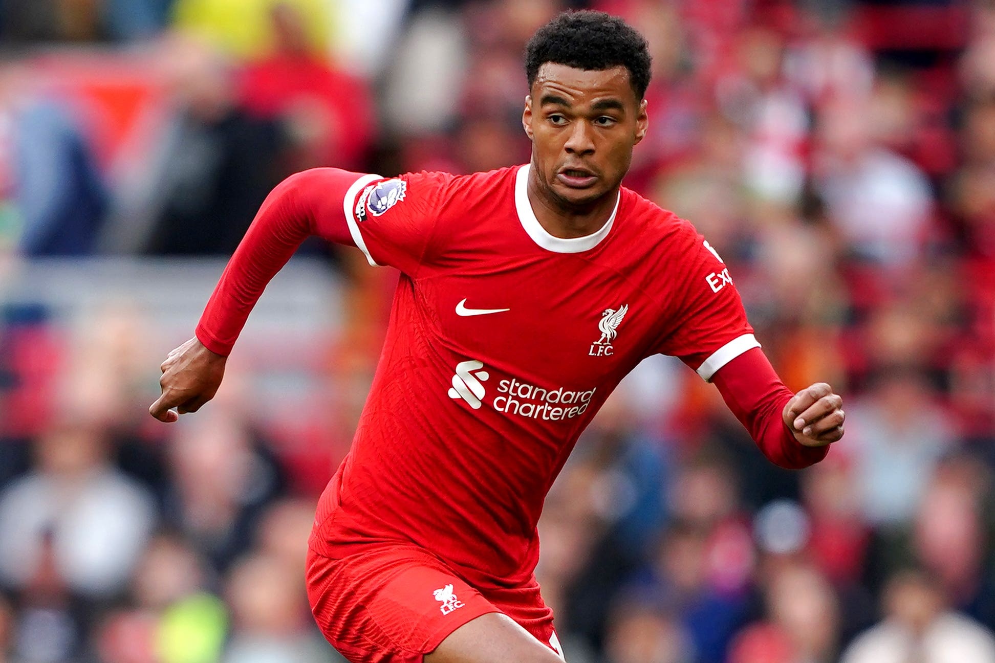 Dan tan binh dat gia anh 4