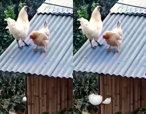 Richarlison gay sot anh 2