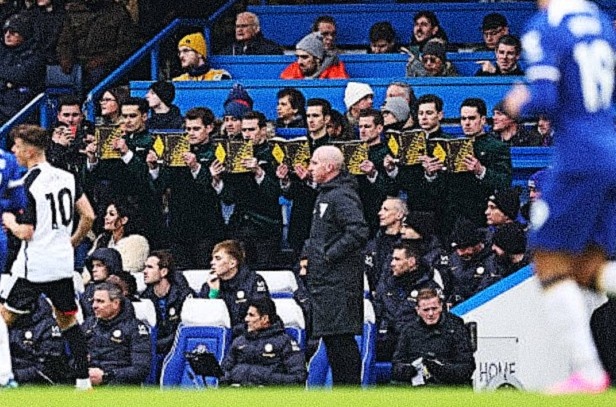 7 nguoi dan ong danh rang trong tran dau cua Chelsea hinh anh