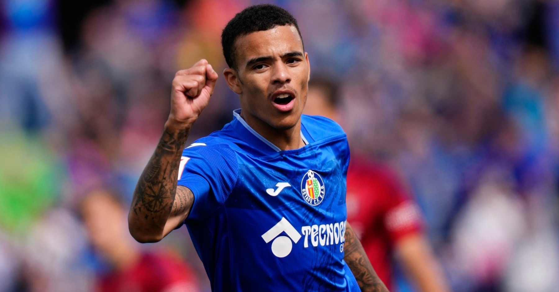 Greenwood bi phan doi hinh anh