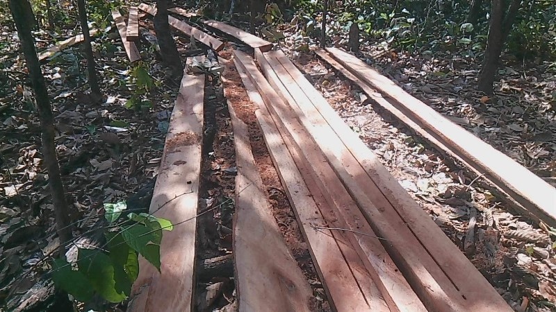 pha rung dem giao thua anh 3