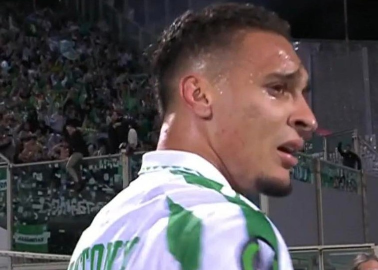 Antony bat khoc hinh anh