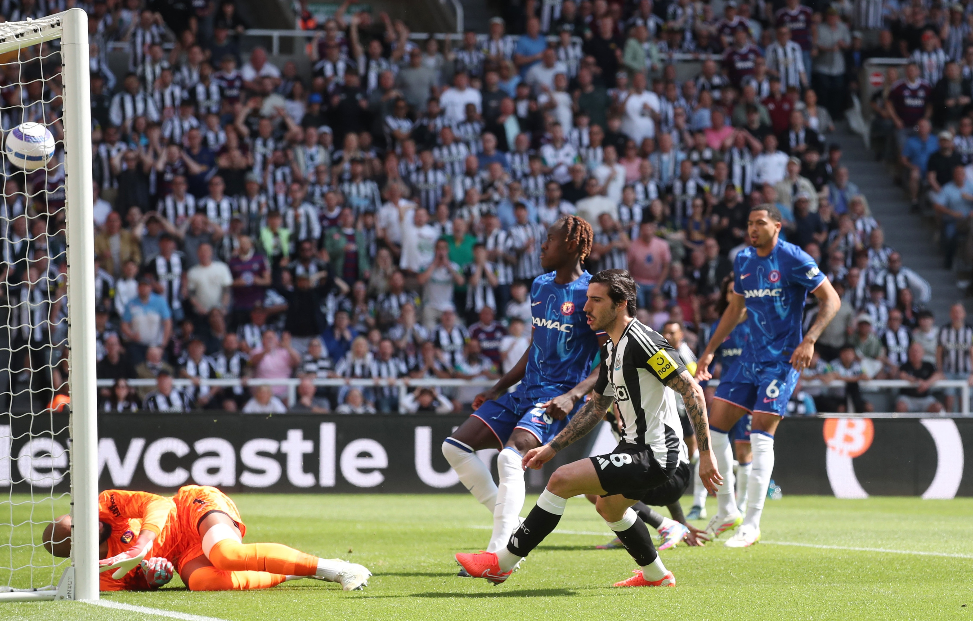 Chelsea vs Newcastle anh 3