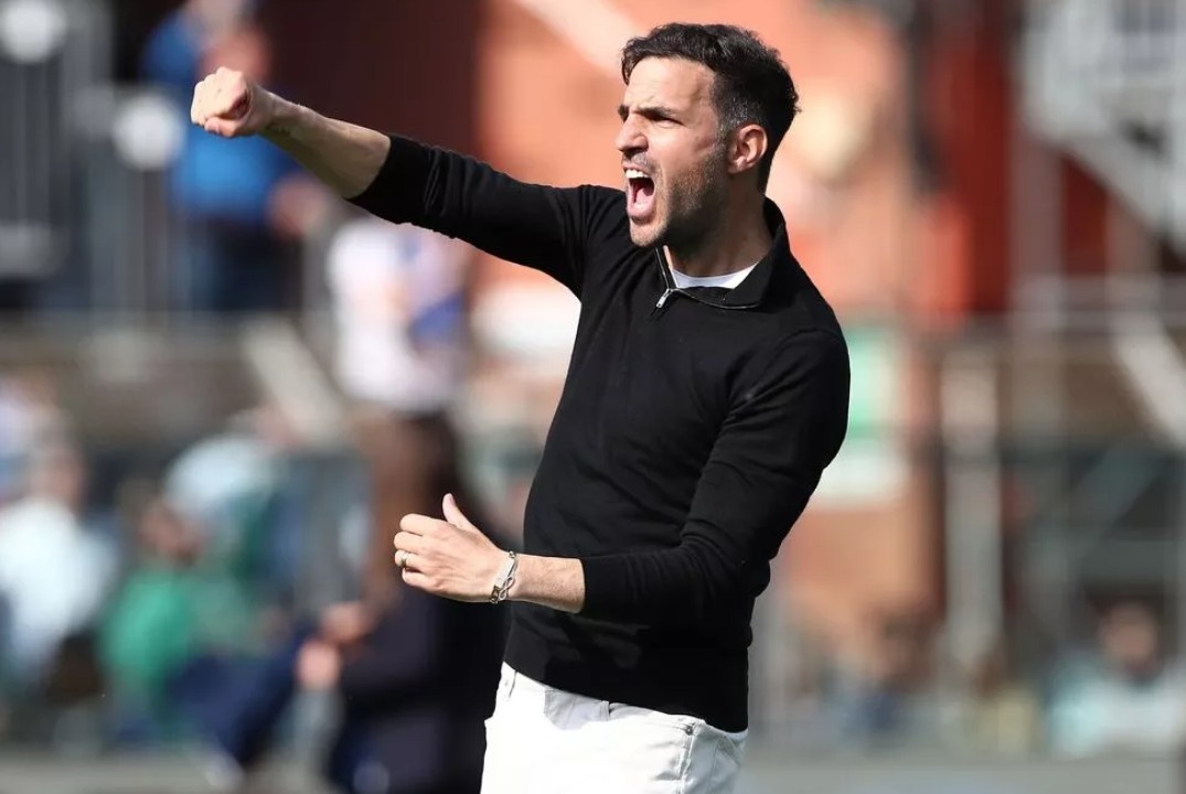 Chau Au 'suc soi' vi Fabregas hinh anh