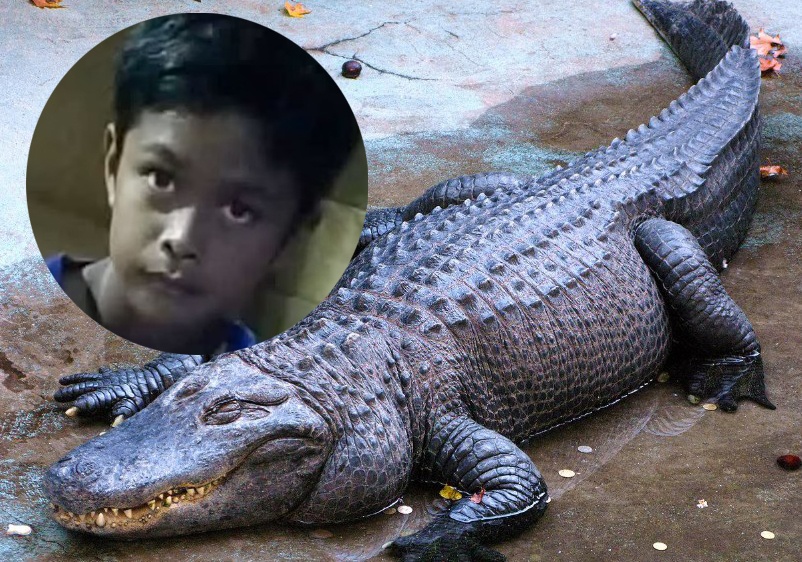 Ca sau tan cong cau be 13 tuoi dang choi bong da hinh anh