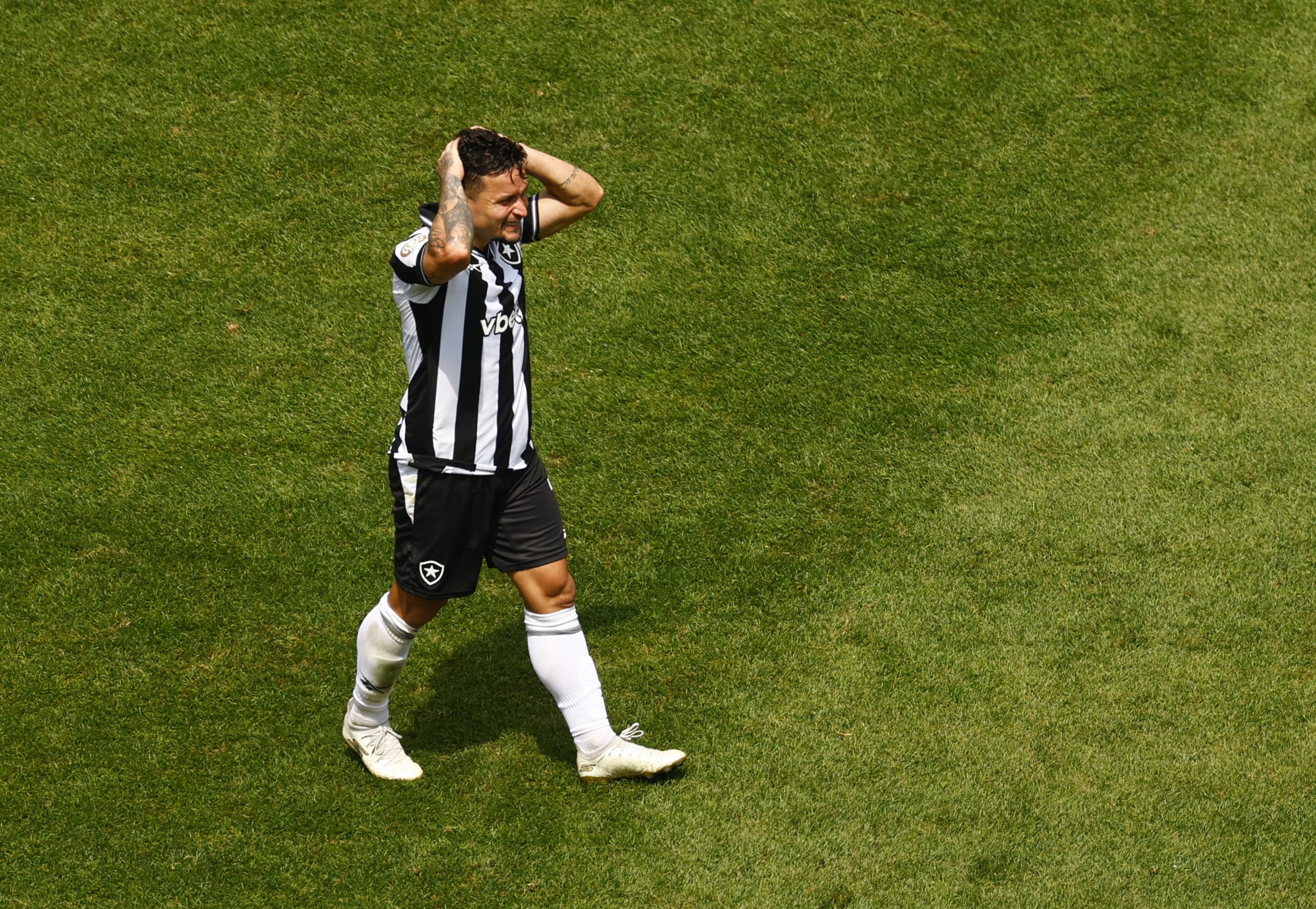 Palmeiras dau Botafogo anh 3