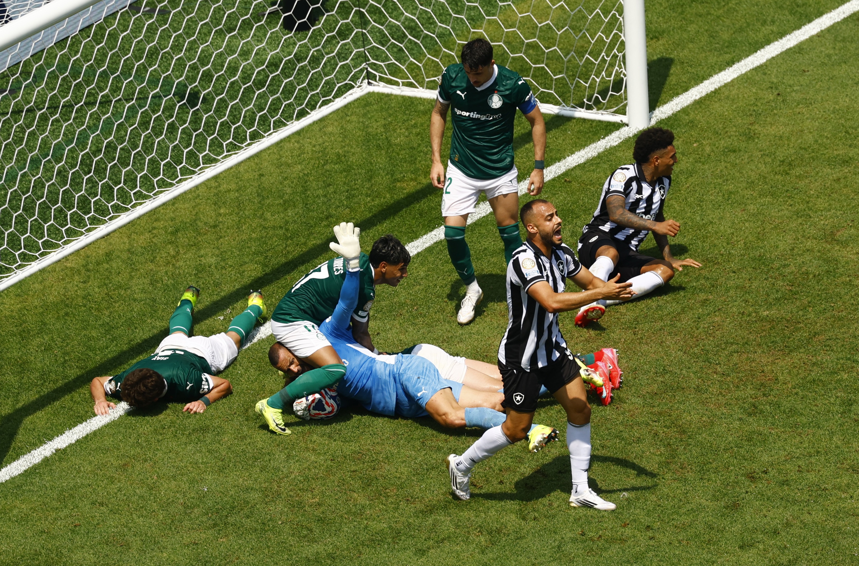 Palmeiras dau Botafogo anh 4